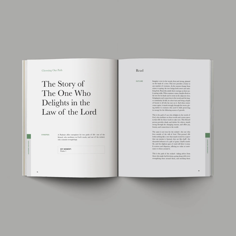 Good & Beautiful Bible Study Volume 1