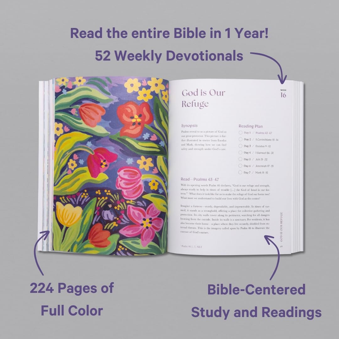 Good & Beautiful Bible Study Volume 3