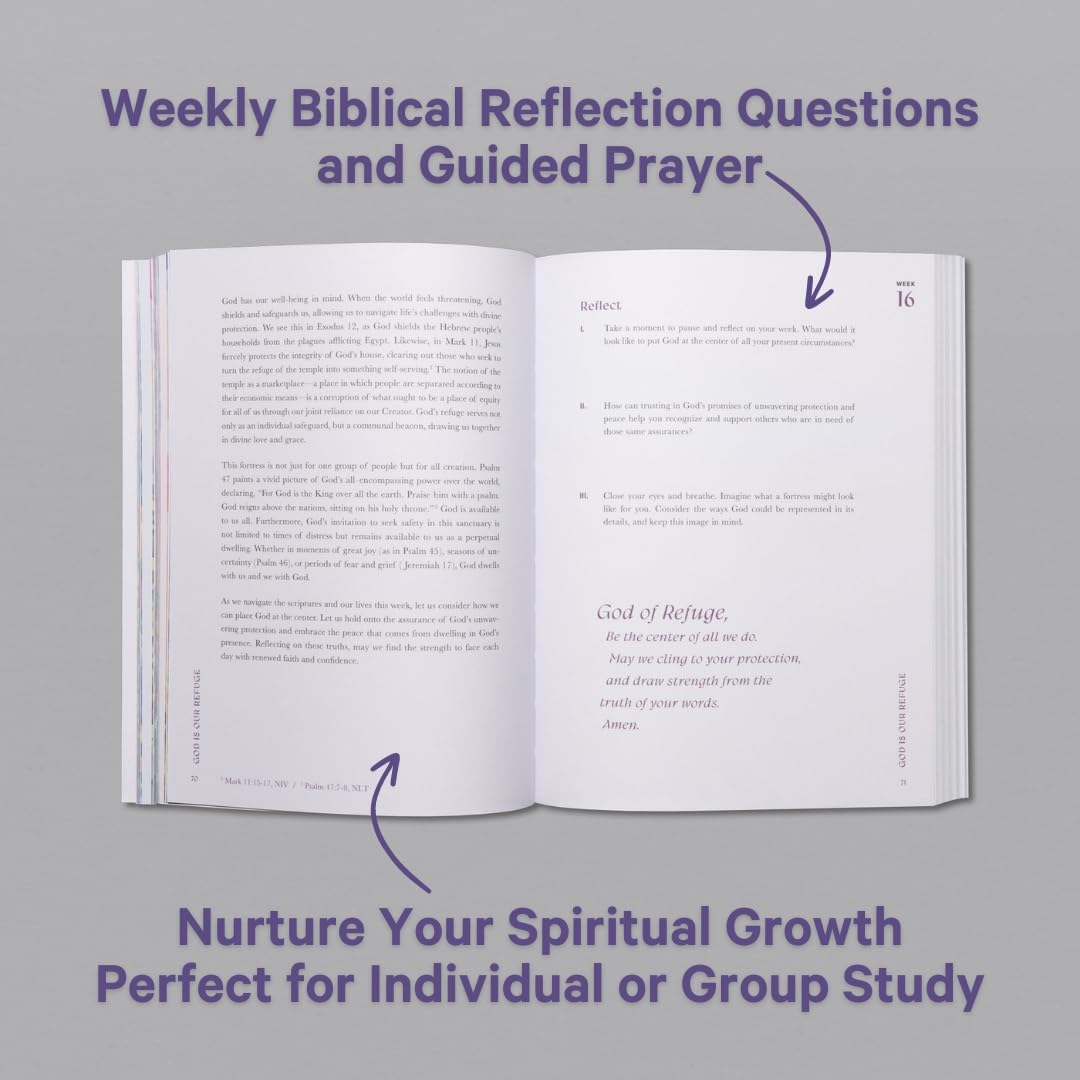 Good & Beautiful Bible Study Volume 3