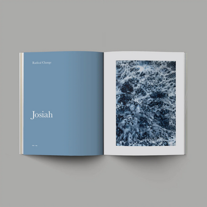 Good & Beautiful Bible Study Volume 1