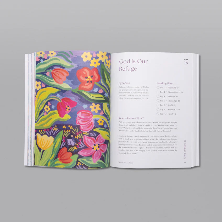 Good & Beautiful Bible Study Volume 2.